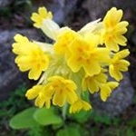 Profile Picture of Inger Och Lars Öberg (@ingerochlars) on Instagram