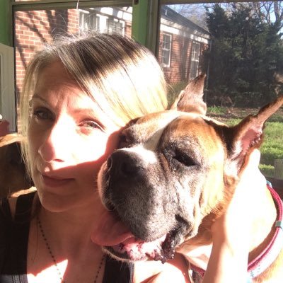 Profile Picture of Laura Davis (@lcdavis1) on Twitter