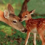 Profile Picture of Lisa AnneMarie Debrun (@lisa.debrun.963) on Facebook