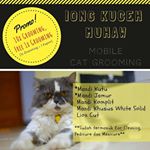 Profile Picture of grooming & lion cat kucing (@muhaw.cat_house) on Instagram