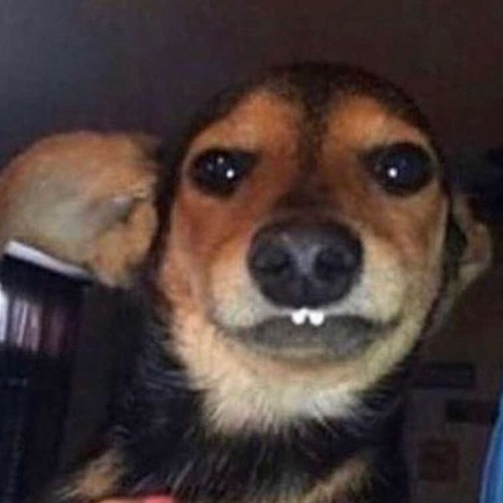 Madison Callaghan - Tiktok Profile Picture of Madison Callaghan (@.maddycallaghan) on Tiktok