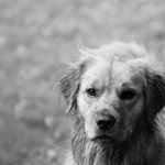 Profile Picture of Eldon Hall (@pure_spirits_photography) on Instagram