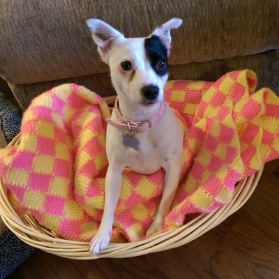 Profile Picture of Sookie Gregory (@sookie1969) on Twitter