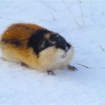 Profile Picture of DorisColeman (@doris_coleman_272863) on Instagram