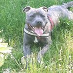 Gary Howard - Instagram Profile Picture of Gary Howard (@gary.howard.92560) on Instagram