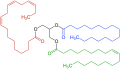 Profile Picture of Lipolysison Wikipedia