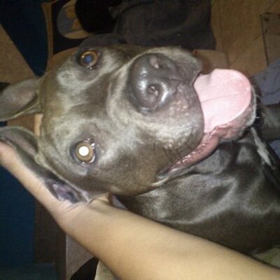 Jose Adrian Abundis - Twitter Profile Picture of Jose Adrian Abundis (@joseadrianabund) on Twitter