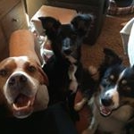 Profile Picture of Hope (@nixxily) on Instagram