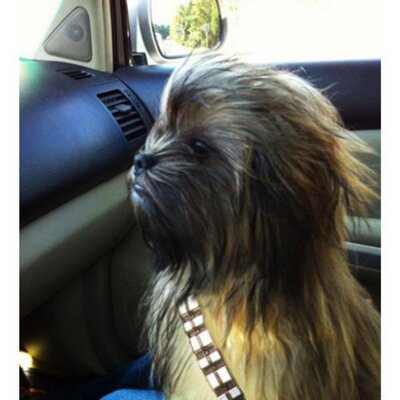 Profile Picture of Nathan Joyner (@Nathanjoyner) on Twitter