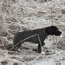 Chris Rost - Twitter Profile Picture of Chris Rost (@cedarrungsp) on Twitter