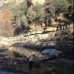 Profile Picture of Carl Hess (@carlguitarl) on Instagram