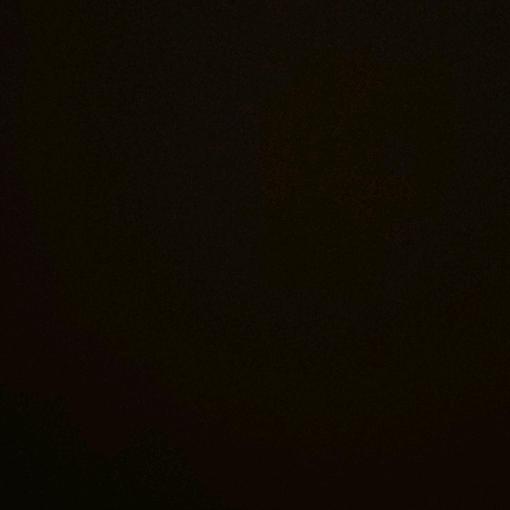 Profile Picture of Alexandria Blevins (@alex_blevins98) on Tiktok