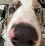 Mckenna Walsh - Facebook Profile Picture of Mckenna Walsh (@mckenna.walsh.372) on Facebook