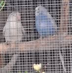 Profile Picture of Peter Van Der Pijl (@peter.vanderpijl.37) on Facebook