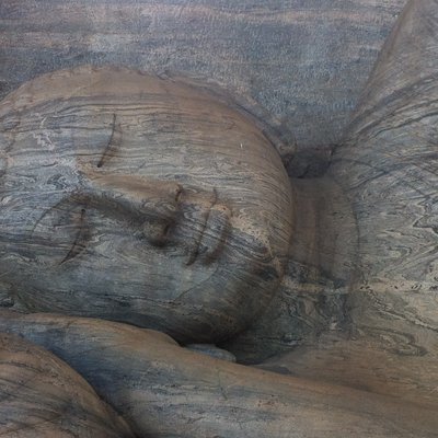 Profile Picture of Alex Kendall (@alexckendall) on Twitter