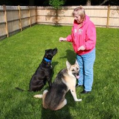 Profile Picture of Paula Wiles (@MrsNitwit) on Twitter