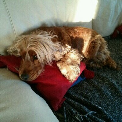 Profile Picture of PB (@PaulBarras) on Twitter