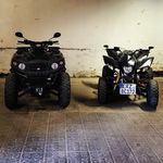 Profile Picture of Chrissi Lemberger (@chrissilemberger) on Instagram