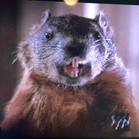 Profile Picture of Nick Pinto (@nick-pinto-16) on Quora