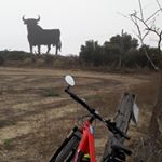 Profile Picture of Cecilio Muñoz (@cecilio620) on Instagram