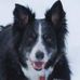 Profile Picture of Parson Stanley (@parson.stanley) on Facebook