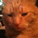 Profile Picture of Phillip Coutu (@phillip.coutu.3) on Facebook