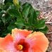 Profile Picture of Sharon Marshall Kempker (@sharon.kempker) on Facebook