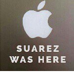 Profile Picture of bradley carling (@bradley_carling) on Instagram