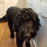 Profile Picture of Steve Tenai (@steve.tenai) on Instagram