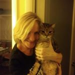 Profile Picture of Andi McClain (@andi.mcclain) on Instagram