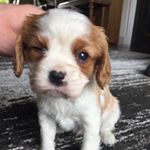 Profile Picture of Patrick mealey (@mealey_pat) on Instagram