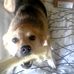 Profile Picture of Matthew Ohm (@Matthew-Ohm) on Facebook