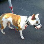 Jesus Manuel Chavez Alvarez - Instagram Profile Picture of Jesus Manuel Chavez Alvarez (@chavezalvarezjesusmanuel) on Instagram