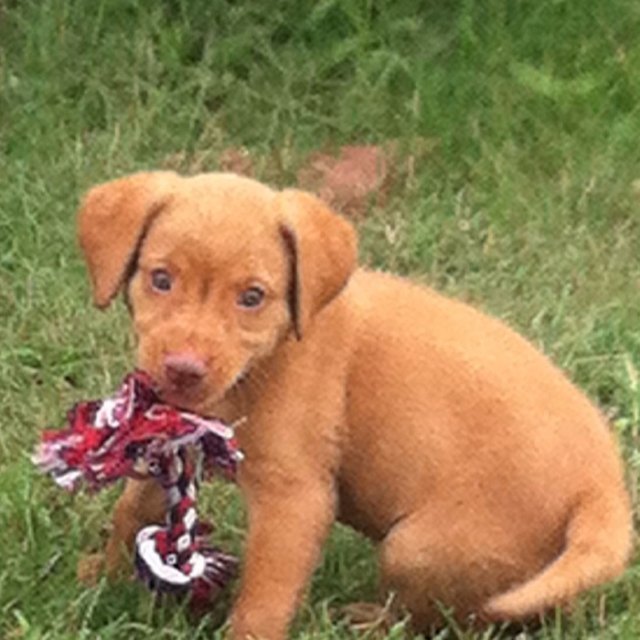 Profile Picture of Connie Wright (@popsicle10) on Poshmark