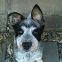 Daniel Greenland - Quora Profile Picture of Daniel Greenland (@daniel-greenland-5) on Quora