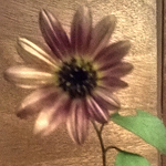 Profile Picture of George Murrow (@General Bebo The Hope) on Flickr