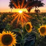 Profile Picture of Luz Bahena (@luz.bahena.750331) on Facebook