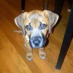 Profile Picture of kevin chorley (@kschorley) on Instagram