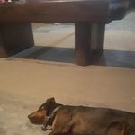 Profile Picture of donaldo melgar garmel (@donaldomelgargarm) on Instagram