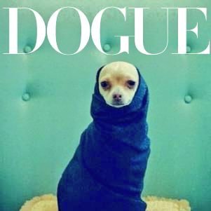 Profile Picture of K Slager (@@SkrappywithaK) on Twitter