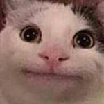 Profile Picture of Rachel Terry (@rachelmusic1) on Instagram