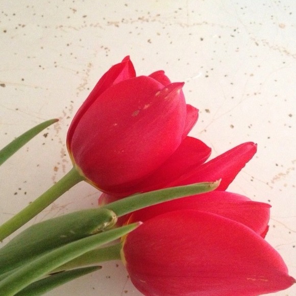 Profile Picture of Prathyusha Ragireddy (@prathyusha) on Poshmark