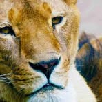 Profile Picture of Darryl Withrow (@Darryl-Withrow) on Facebook