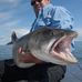 Profile Picture of Kenneth Shields (@kenneth.shields.161) on Facebook
