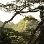 Caroline Holt - Instagram Profile Picture of Caroline Holt (@carolines.canon) on Instagram