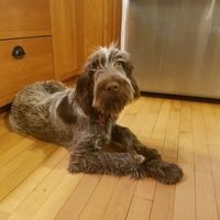 Profile Picture of Cindy Olson-tuma (@cindy-olson-tuma) on Quora