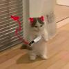 Profile Picture of lauren stephens (@@eatmebaby) on Tiktok