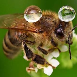 Profile Picture of Franklin Royer Bernilla Pravia (@franklinroyer.bernillapravia.5) on Facebook