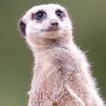 Profile Picture of Scott Dennis (@scottdennisphotography) on Instagram