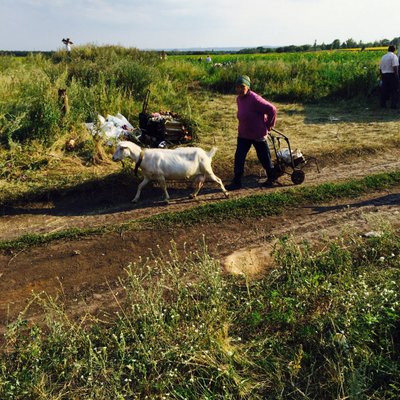 Stephen Harrigan - Twitter Profile Picture of Stephen Harrigan (@Humanbulletx) on Twitter